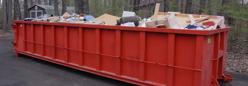 clean pollution with a dumpster rental